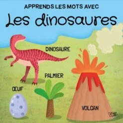 Q-BOX. LES DINOSAURES -Jouets Pour Enfants Boutique 26550e56dd2751031fa159ac80ae1e085e6a8fbb 41031371 03