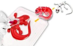 Silverlit DISSECT-IT - SALAMANDRE SLIME A DISSEQUER