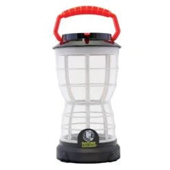 OBSERVATEUR D'INSECTES