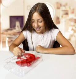 Silverlit DISSECT-IT - SALAMANDRE SLIME A DISSEQUER -Jouets Pour Enfants Boutique e24ade6ceb44797f9852dd77af5cd418b8aa4edd 41053781 04