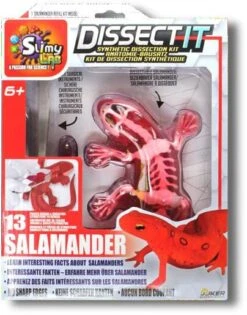 Silverlit DISSECT-IT - SALAMANDRE SLIME A DISSEQUER -Jouets Pour Enfants Boutique e3952b4f8db482c47d60fbec9e1ca36ff8c69b81 41053781 05