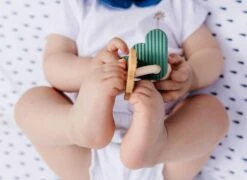 PAUL - LE HOCHET -Jouets Pour Enfants Boutique f0d6dcd0c5e0ff2a2d471c5892e6b864b8394678 41067034 05